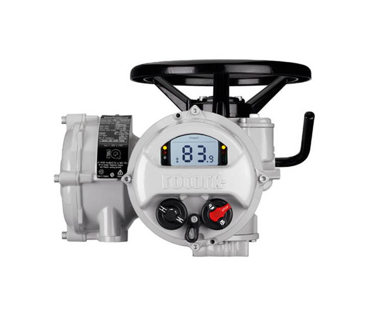 羅托克電動執(zhí)行器型號是否齊全？哪些廠家信得過？
